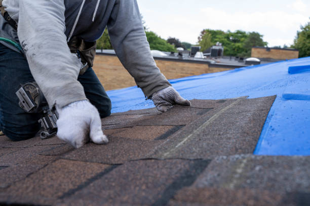 Best Flat Roof Repair Services  in Rainbow City, AL